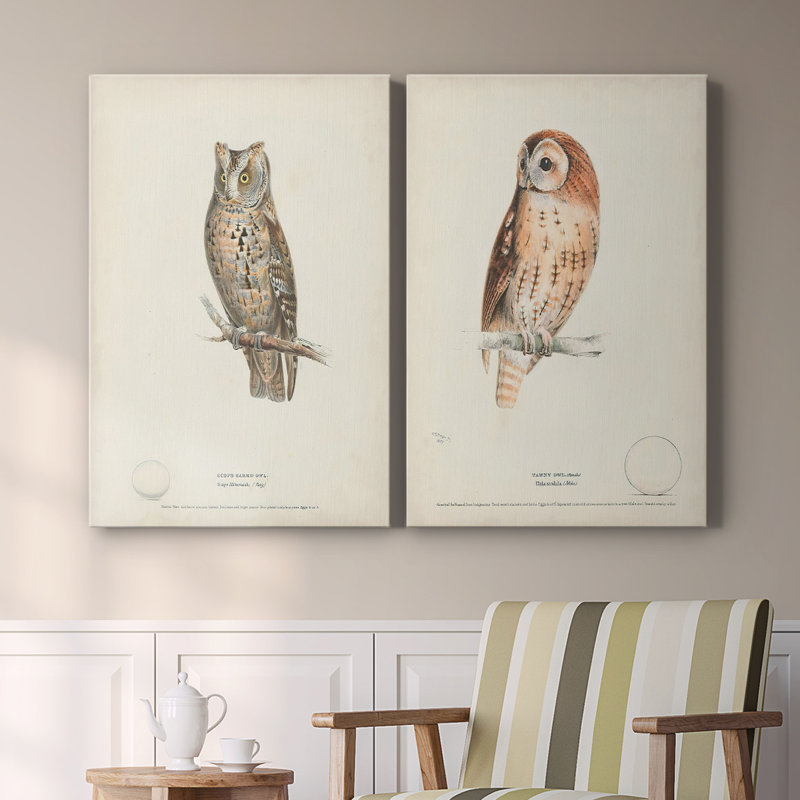 Scops Eared Owl - Toile tendue avec châssis de qualité supérieure - Prêt à être accroché, H 48 po x l 32 po