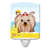Yorkshire Terrier Yorkie sélectionné
