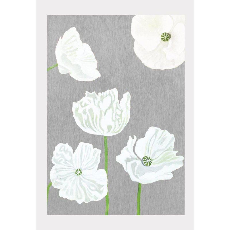 Coquelicots blancs sur fond gris - sans cadre, H 11 po x l 8,5 po