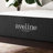 Modway Aveline Memory Foam Mattress-773182728-712072249
