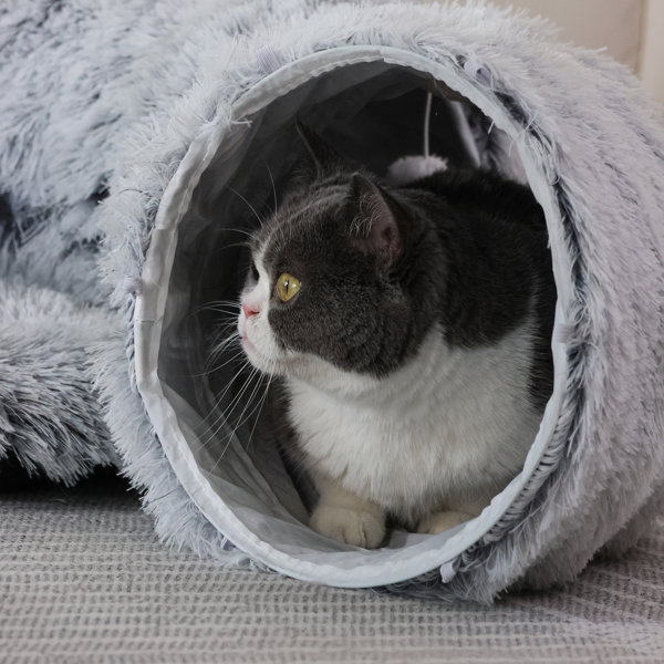 Archie & Oscar™ Cat Tunnel With Cat Bed For Indoor Cats ...