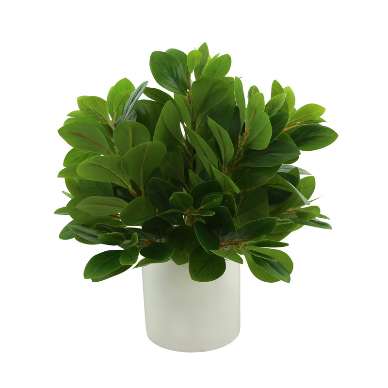 Nature's Elegance Faux Peperomia Bush Plant in Fiberstone Pot