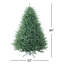 Sapin de Noël vert extra plein-496821982