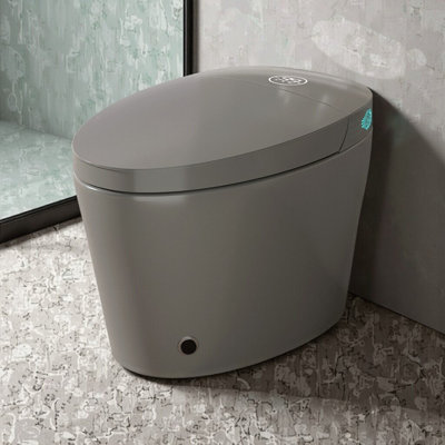 Smart Bidet Toilet With Heated Seat, Warm Water Wash, Auto Flush & Night Light, 12" Rough-In