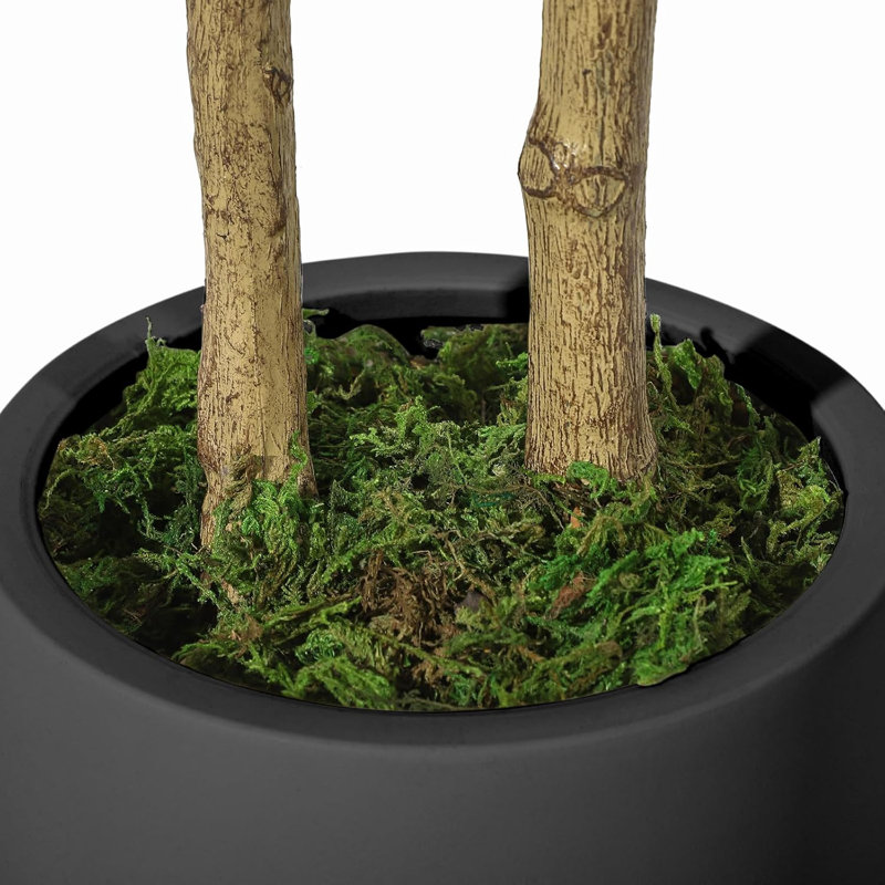 Ficus artificiels d'intérieur, 4 pi de haut ficus artificiel avec jardinière noire et fausse mousse verte, plantes artificielles avec tronc de bois naturel et fruits réalistes pour la décoration de bureau personnel