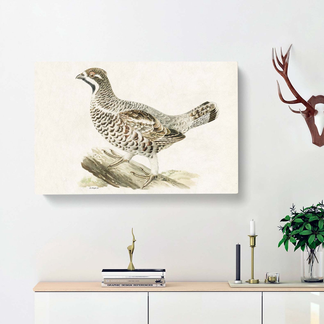 Hazel Grouse by Von Wright - Wrapped Canvas