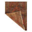 Mahiya Cotton Oriental Area Rug in Rust