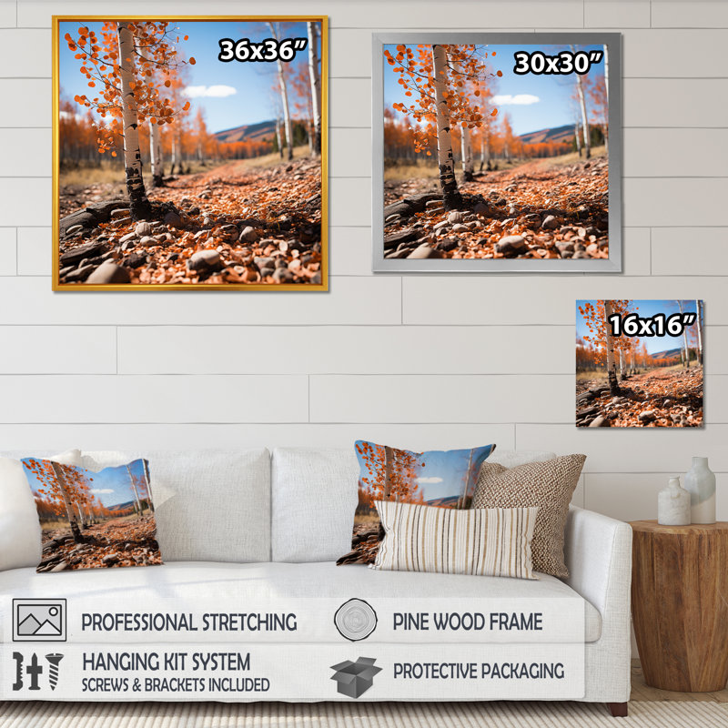 Aspen Tree Forest Majesty II - impression d'art mural paysage, Cadre simple noir, H 36 po x l 36 po x P 1,5 po
