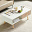 Table basse rectangulaire avec pieds en bois massif-1343680256