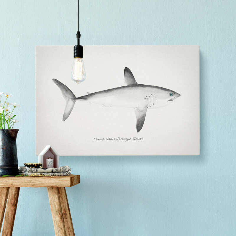 Illustration Of A Porbeagle Shark by F.E. Clarke - Wrapped Canvas Painting, 50cm H x 76cm W x 3cm D