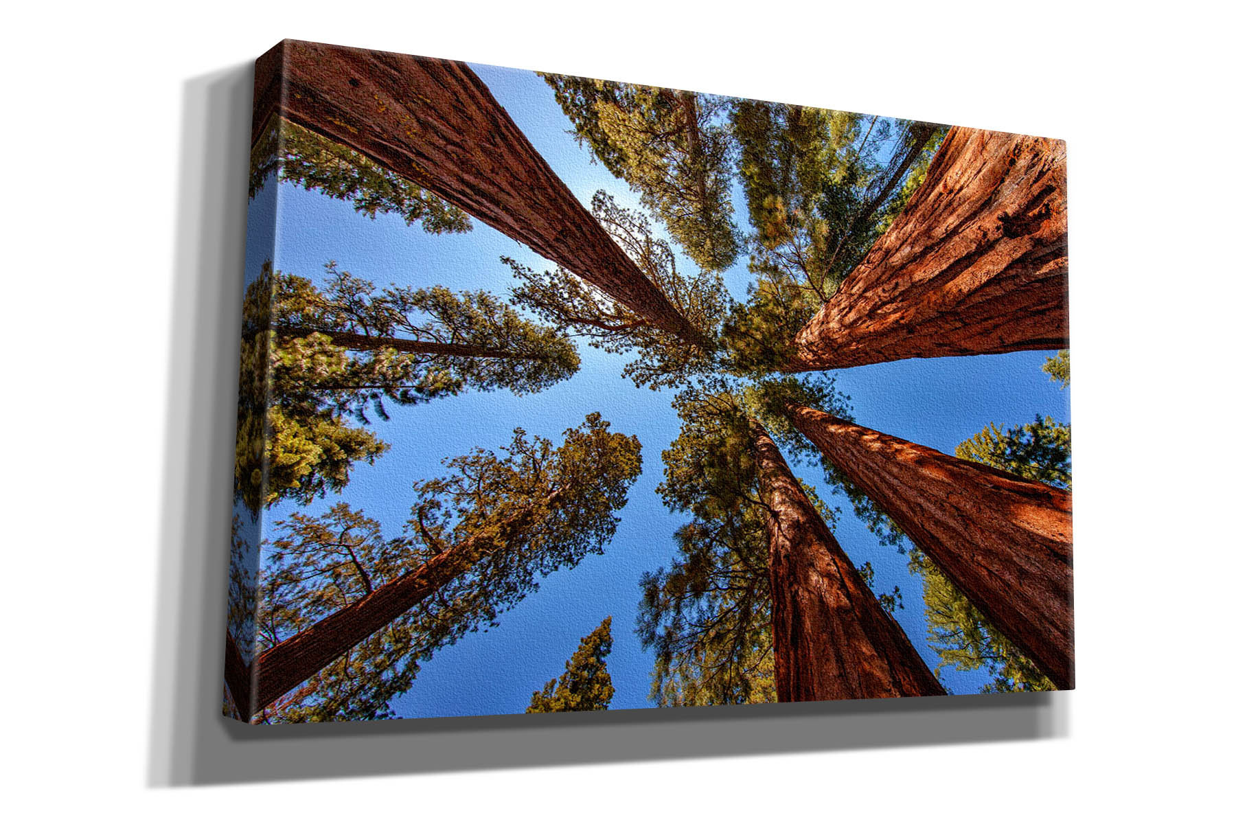 Loon Peak® The Bachelor And The Three Graces On Canvas by Rick Berk