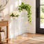 1 Tier Plant Stand