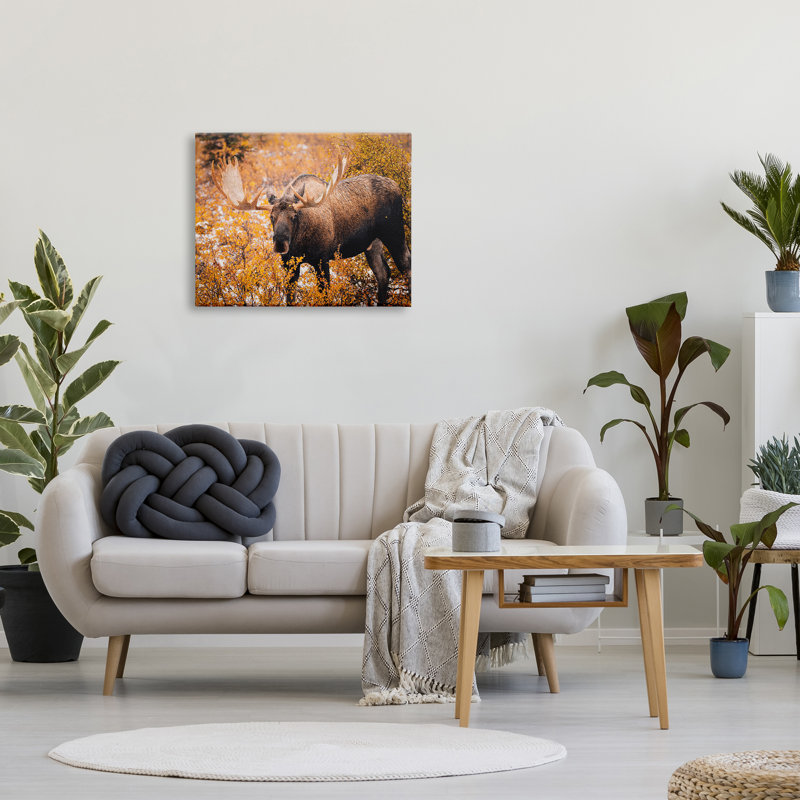 «Moose In Autumn Foliage» par Daniel Sproul, H 24 po x l 30 po x P 1,5 po