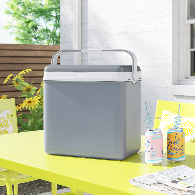 Wayfair Basics™ 24L Handheld Cooler, Grey