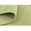 Tapis vert Aiden-Lee-423350408