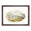 White Reef Herons by Elizabeth Gould - Framed Print-55612553-55612556