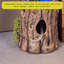 Aquarium moderne 5-10 gallons Aesin