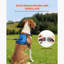 Harnais pour chien avec grand chien