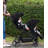 Foldable Double Stroller Track Tandem Stroller For Infant And Toddler