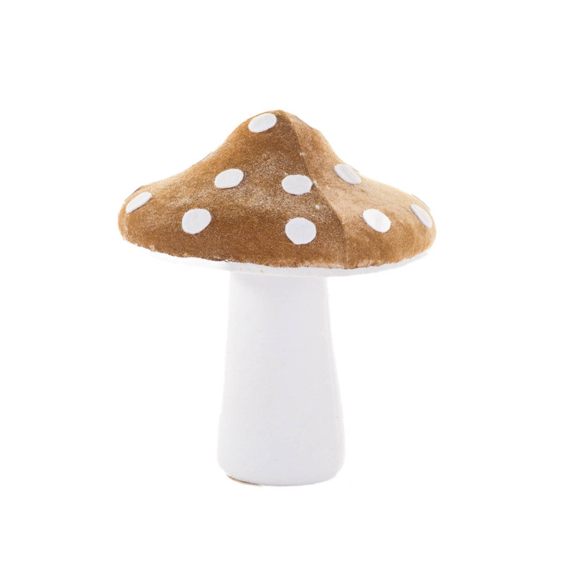 Champignon blanc légèrement scintillant, Brun / blanc