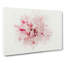 Striking White And Pink Carnation In Abstract - Wrapped Canvas-55337230