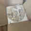 Photos des clients 3 de 3
