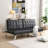 Johnice 66.9'' Sofa Bed