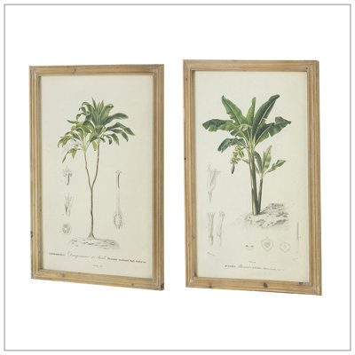 S / 2, reproduction encadrée