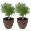 Boisdale Pebbled 15.75" x 15.75" x 14" Round Brown Polyresin Outdoor Planter Pot - Set of 2-1599208232