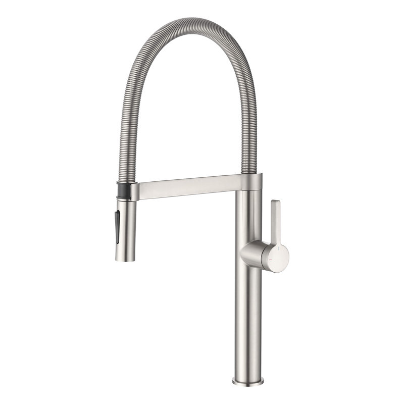 Neo Pro-style Single Handle Kitchen Faucet, Brushed Nickel