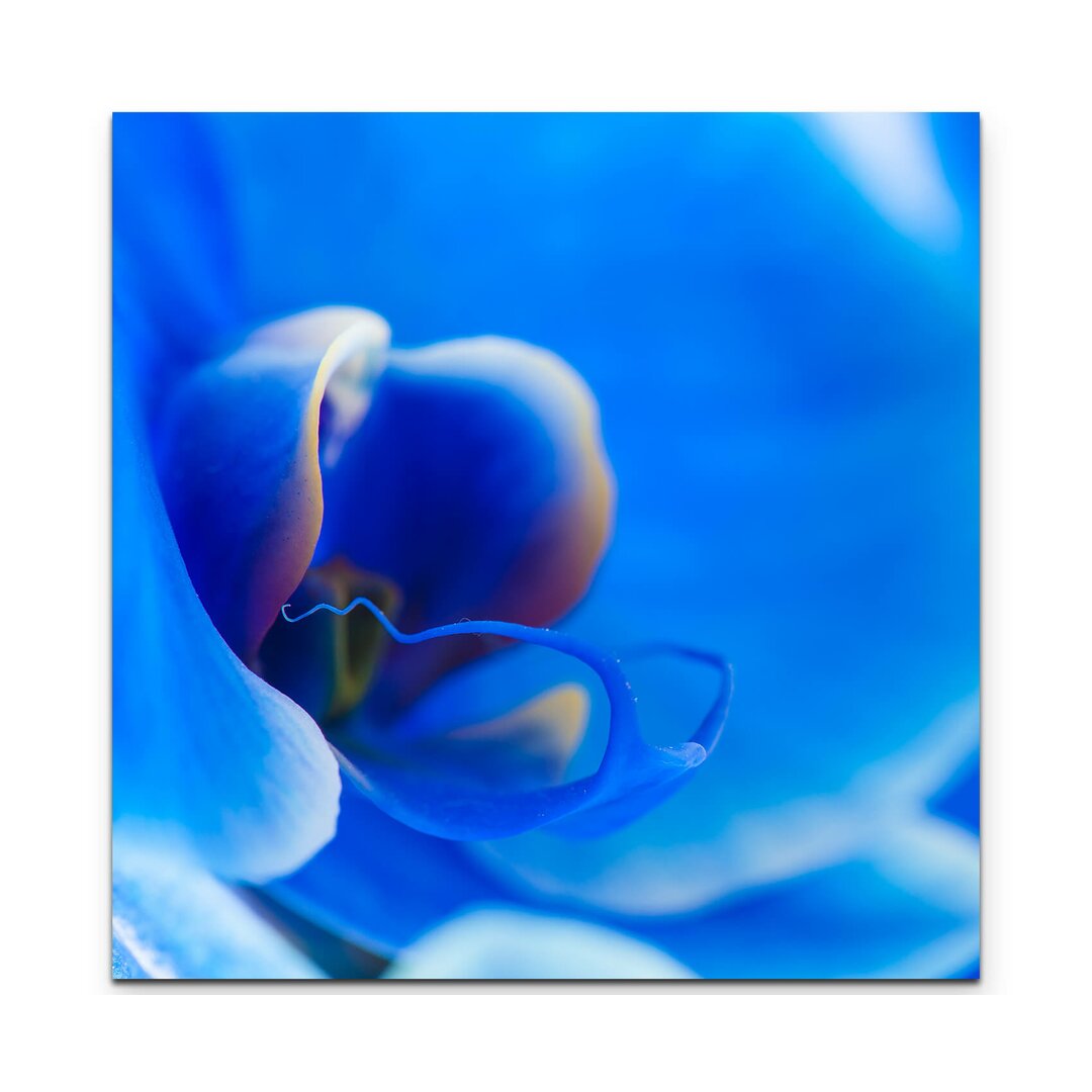 Leinwandbild Blaue Orchidee