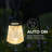 Low Voltage Solar Powered Integrated LED Pathway Light Pack