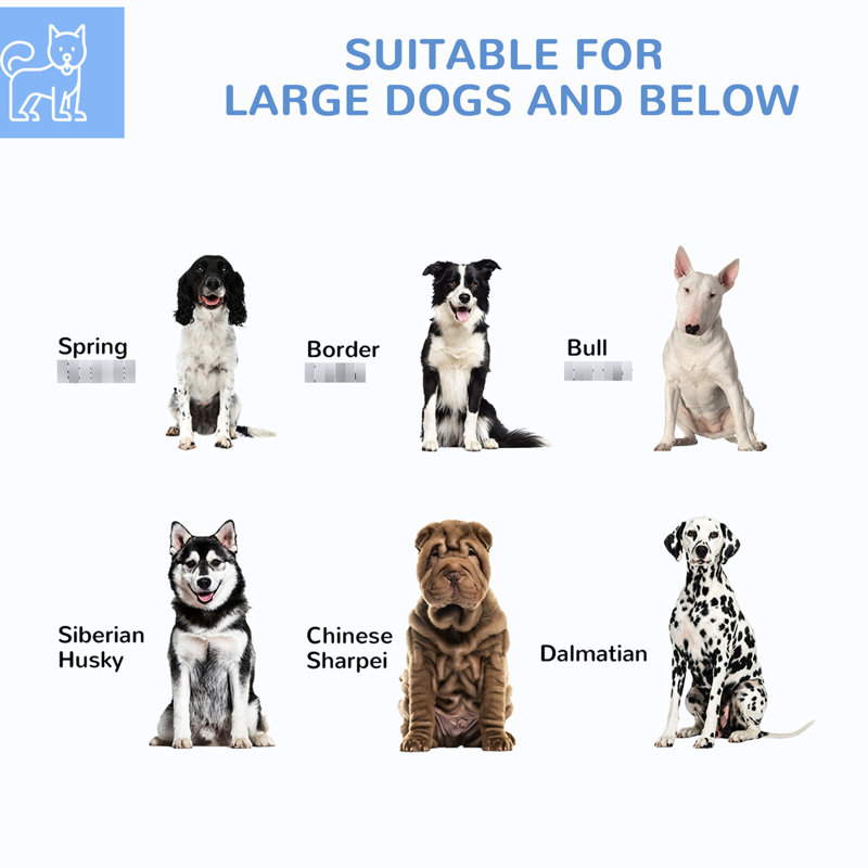 Chenil d'extérieur pour chien avec porte verrouillable - 6,9 pi x 6,1 pi 4,9 pi, protégé, imperméable, pour grands chiens, toit argenté