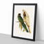 Yellow-Collared Parakeets by Elizabeth Gould - Picture Frame Graphic Art Print-55641889-55641893