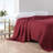 Nautica Baird Solid Cotton Reversible Blanket-93808330-87804890