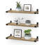 Amitie Floating Shelf