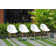 Cadon Rectangular 8 - Person 75'' Long Dining Set