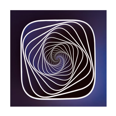 Jacqueline Hammer Spiral Illusion Canvas Art