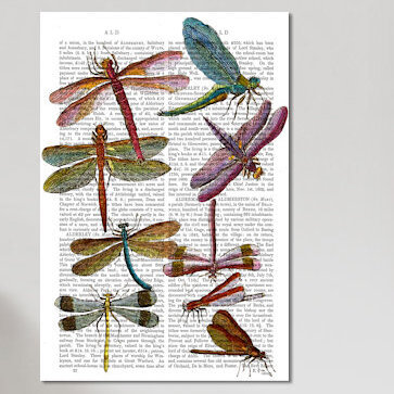 « libellule print iii », impression sur toile tendue, H 18 po x l 12 po x P 1,5 po, Toile tendue, Pas de tapis