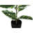 Artificial Plant