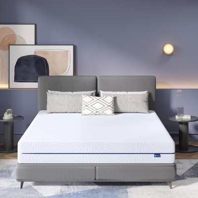 12" Medium Gel Memory Foam Mattress by Alwyn Home