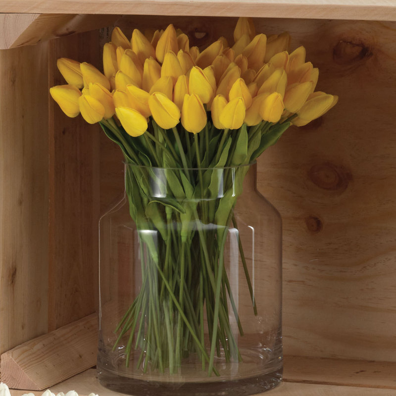Tiges de tulipe petite, Jaune