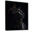 Portrait d'un chat noir, photographie-1706465380-1741864039