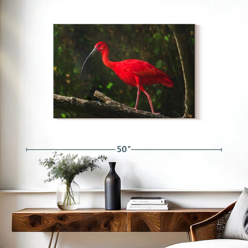 Oiseau rouge Brampt, H 24 po x l 36 po