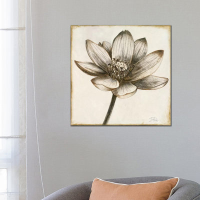 Sepia Lotus II by Patricia Pinto - Wrapped Canvas Gallery-Wrapped Canvas Giclée
