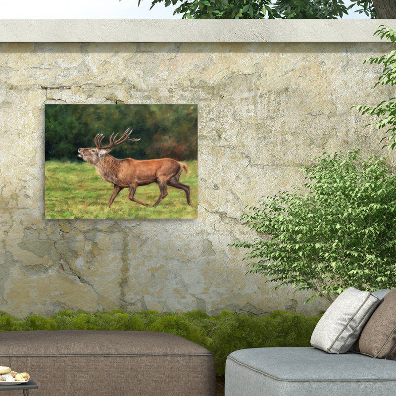 Toile de plein air David Stribble Red Deer Stag, H 18 po x l 24 po