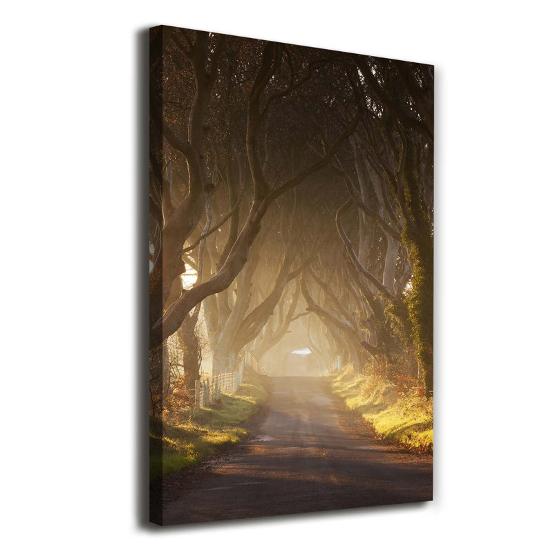 Path In The Forest - Wrapped Canvas Print