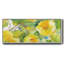 Citron Hibiscus II - toile encadrée-1198693292