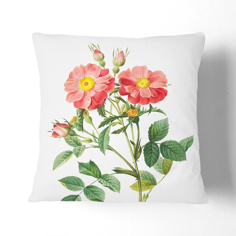 Square Cushion, 55cm H x 55cm W x 20cm D