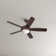 Stoller 44'' Ceiling Fan with LED Lights